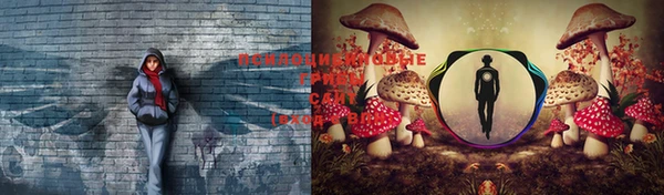 дурь Ладушкин