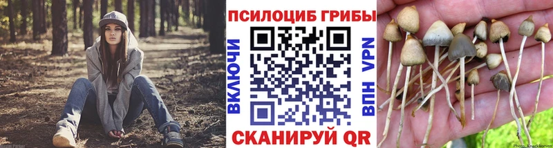 наркотики  Называевск  Псилоцибиновые грибы ЛСД 